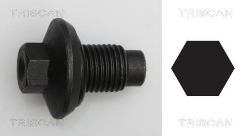 Triscan 9500 1009 Sump plug 95001009: Buy near me in Poland at 2407.PL - Good price!