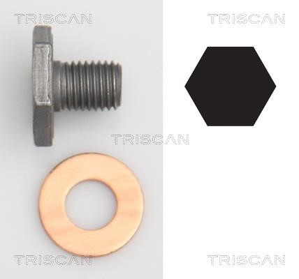 Triscan 9500 1010 Sump plug 95001010: Buy near me in Poland at 2407.PL - Good price!