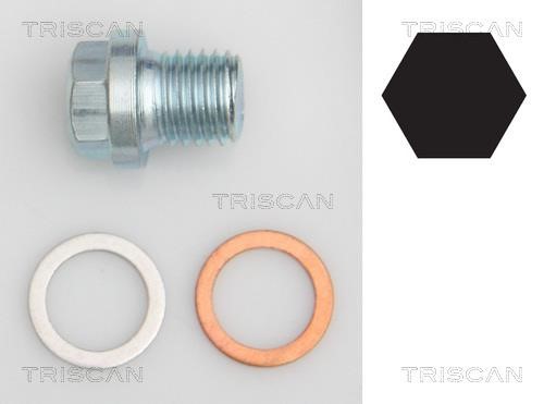 Triscan 9500 1011 Sump plug 95001011: Buy near me in Poland at 2407.PL - Good price!
