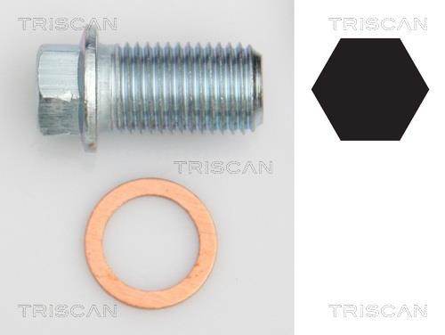 Triscan 9500 1012 Sump plug 95001012: Buy near me at 2407.PL in Poland at an Affordable price!