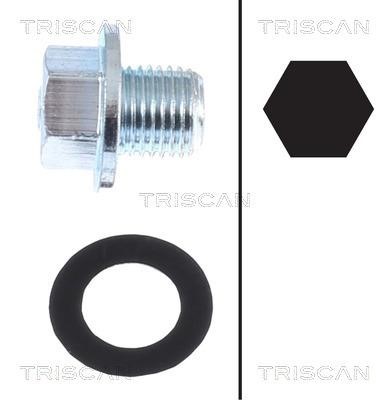 Triscan 9500 1013 Sump plug 95001013: Buy near me in Poland at 2407.PL - Good price!