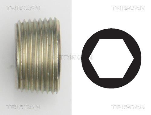Triscan 9500 1015 Sump plug 95001015: Buy near me in Poland at 2407.PL - Good price!
