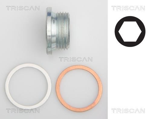 Triscan 9500 1018 Sump plug 95001018: Buy near me in Poland at 2407.PL - Good price!