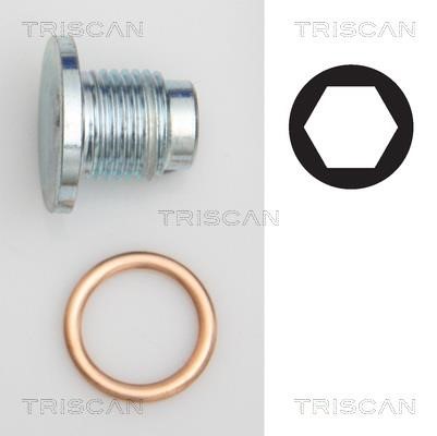 Triscan 9500 1019 Sump plug 95001019: Buy near me in Poland at 2407.PL - Good price!