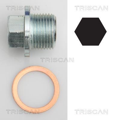 Triscan 9500 1022 Sump plug 95001022: Buy near me in Poland at 2407.PL - Good price!