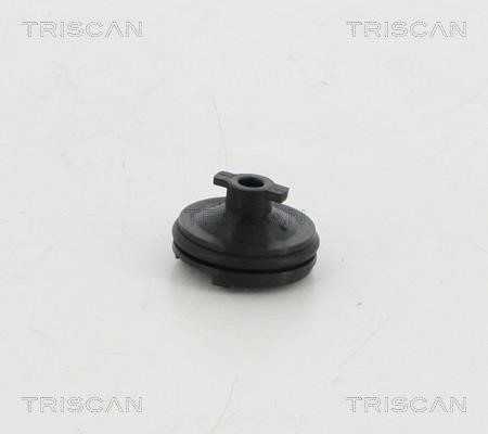 Triscan 9500 1023 Sump plug 95001023: Buy near me in Poland at 2407.PL - Good price!