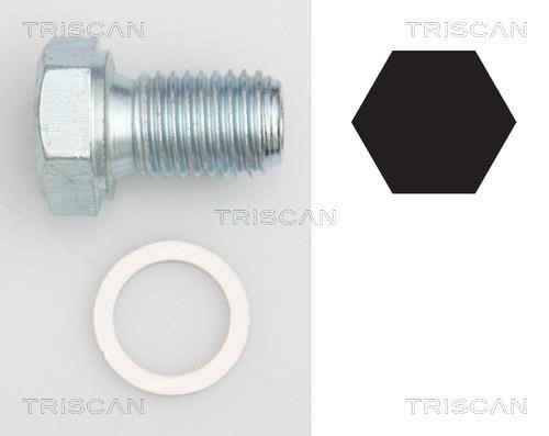 Triscan 9500 1101 Пробка поддона 95001101: Отличная цена - Купить в Польше на 2407.PL!