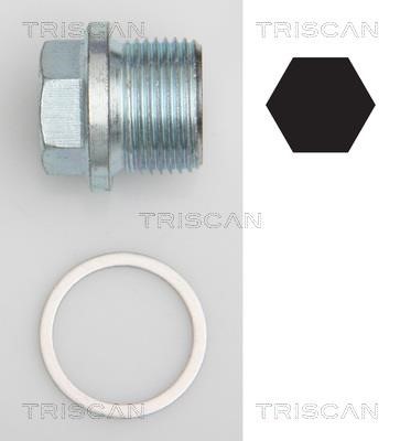 Triscan 9500 1102 Sump plug 95001102: Buy near me at 2407.PL in Poland at an Affordable price!