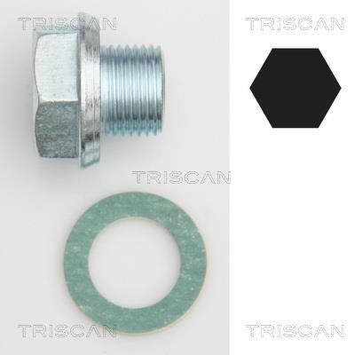 Triscan 9500 1301 Sump plug 95001301: Buy near me in Poland at 2407.PL - Good price!