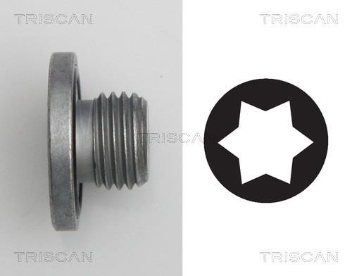 Triscan 9500 2401 Sump plug 95002401: Buy near me in Poland at 2407.PL - Good price!