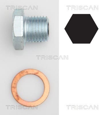 Triscan 9500 2402 Sump plug 95002402: Buy near me in Poland at 2407.PL - Good price!