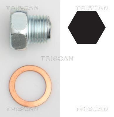 Triscan 9500 2404 Sump plug 95002404: Buy near me at 2407.PL in Poland at an Affordable price!