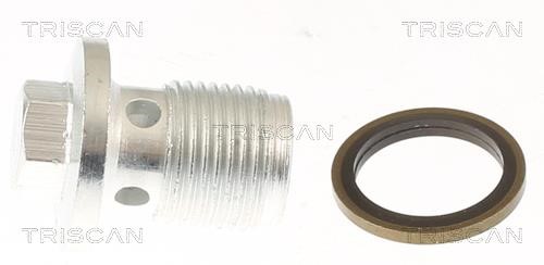 Triscan 9500 2406 Sump plug 95002406: Buy near me in Poland at 2407.PL - Good price!