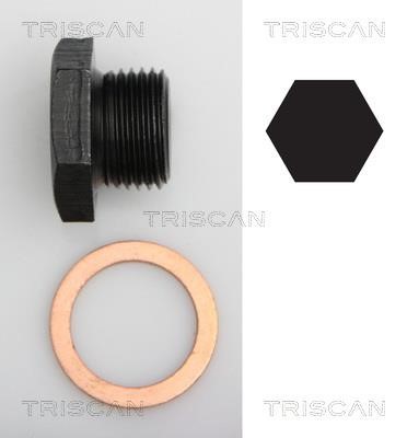 Triscan 9500 2701 Sump plug 95002701: Buy near me in Poland at 2407.PL - Good price!