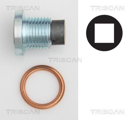 Triscan 9500 2801 Sump plug 95002801: Buy near me in Poland at 2407.PL - Good price!