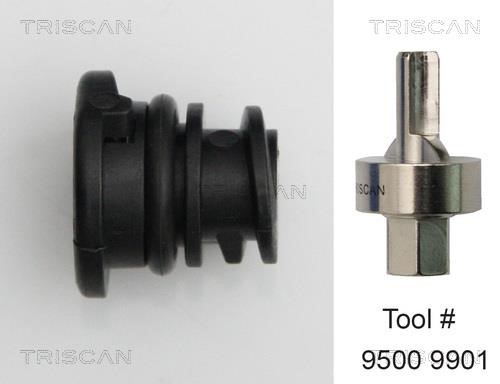 Triscan 9500 2901 Sump plug 95002901: Buy near me in Poland at 2407.PL - Good price!