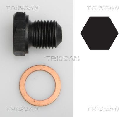 Triscan 9500 2902 Sump plug 95002902: Buy near me in Poland at 2407.PL - Good price!