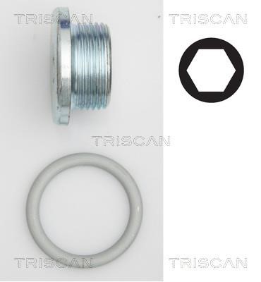 Triscan 9500 2904 Sump plug 95002904: Buy near me in Poland at 2407.PL - Good price!