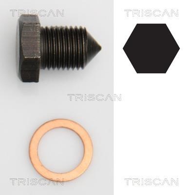 Triscan 9500 2907 Sump plug 95002907: Buy near me in Poland at 2407.PL - Good price!