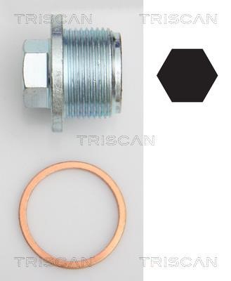 Triscan 9500 2908 Sump plug 95002908: Buy near me in Poland at 2407.PL - Good price!