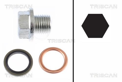 Triscan 9500 1001 Sump plug 95001001: Buy near me in Poland at 2407.PL - Good price!