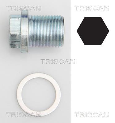 Triscan 9500 1002 Sump plug 95001002: Buy near me in Poland at 2407.PL - Good price!