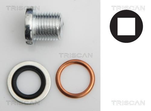 Triscan 9500 1003 Sump plug 95001003: Buy near me in Poland at 2407.PL - Good price!