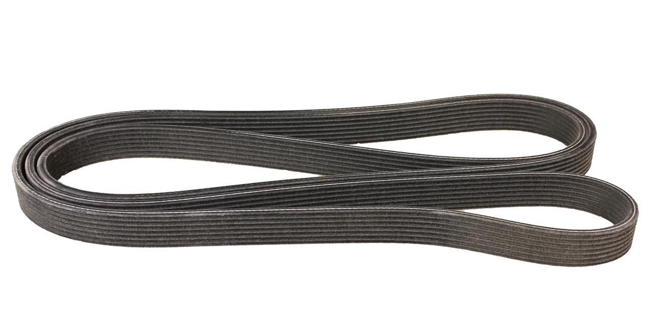 Dayco 7DPK2569 V-ribbed belt 7PK2569 7DPK2569: Buy near me in Poland at 2407.PL - Good price!