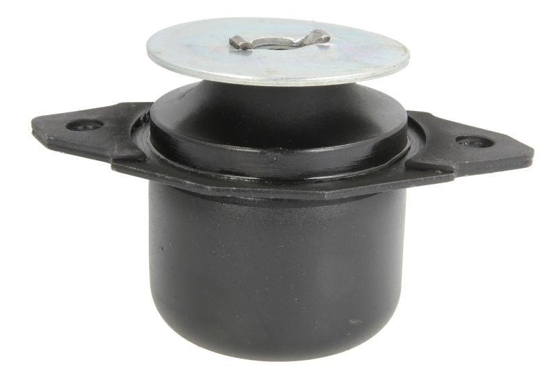 Reinhoch RH11-0108 Engine mount RH110108: Buy near me in Poland at 2407.PL - Good price!