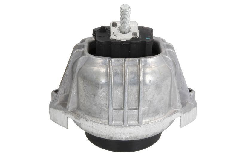 Reinhoch RH11-3055 Engine mount RH113055: Buy near me at 2407.PL in Poland at an Affordable price!