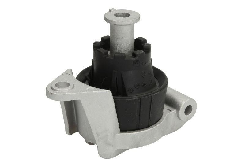 Reinhoch RH11-5010 Engine mount RH115010: Buy near me at 2407.PL in Poland at an Affordable price!