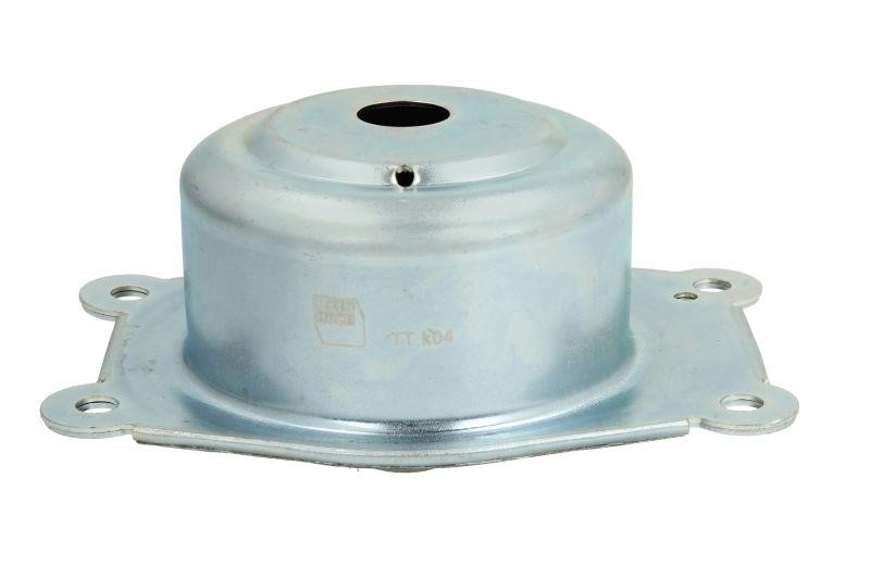 Reinhoch RH11-5019 Engine mount RH115019: Buy near me in Poland at 2407.PL - Good price!