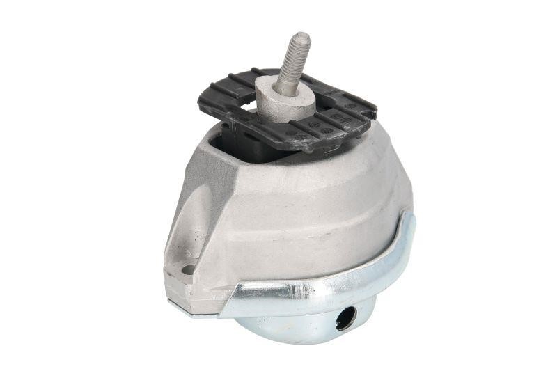 Reinhoch RH11-3031 Engine mount RH113031: Buy near me at 2407.PL in Poland at an Affordable price!