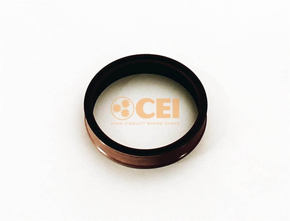 C.E.I. 139.817 Oil seal 139817: Buy near me in Poland at 2407.PL - Good price!