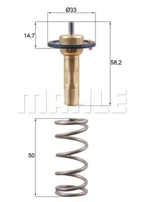 Mahle/Behr TX 265 89D Thermostat, coolant TX26589D: Buy near me in Poland at 2407.PL - Good price!