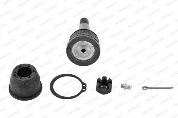 Moog AMGK80281 Ball joint AMGK80281: Buy near me in Poland at 2407.PL - Good price!