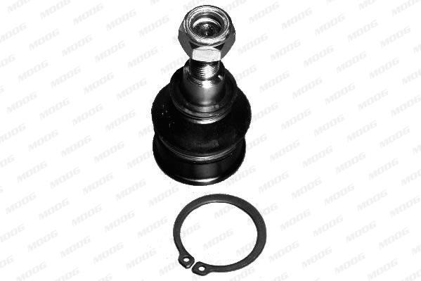 Moog HO-BJ-4919 Ball bearing left/right HOBJ4919: Buy near me at 2407.PL in Poland at an Affordable price!
