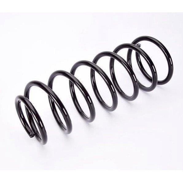 Tashiko 00001D Suspension spring front 00001D: Buy near me at 2407.PL in Poland at an Affordable price!