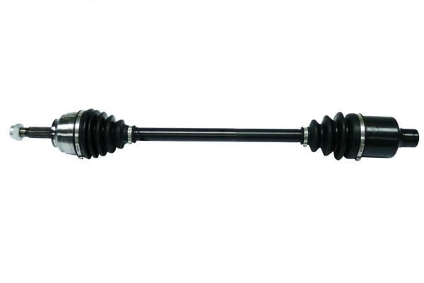 FAG 770 0009 10 Drive shaft 770000910: Buy near me in Poland at 2407.PL - Good price!