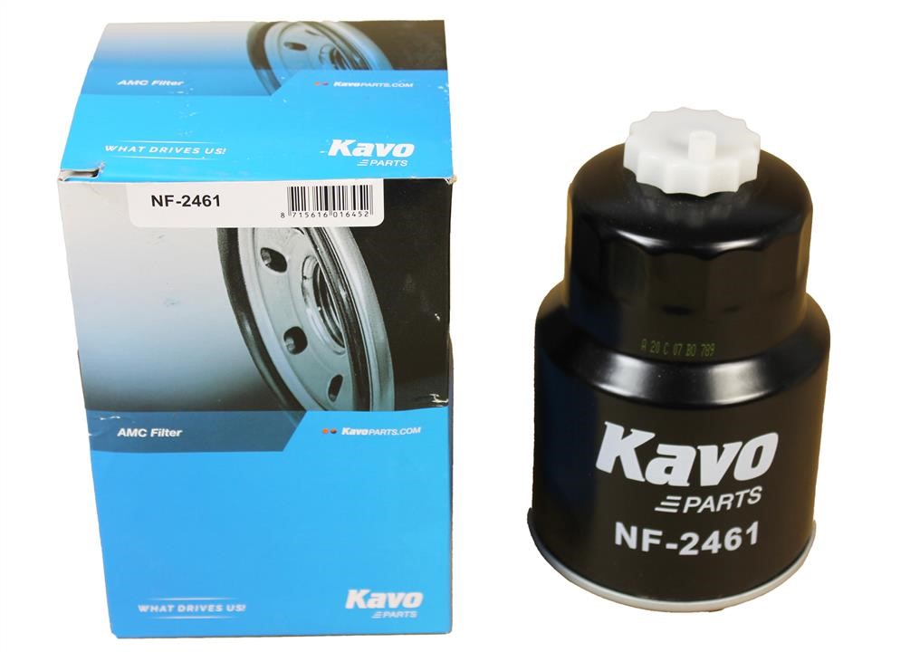 Купити AMC Filters NF-2461 за низькою ціною в Польщі!