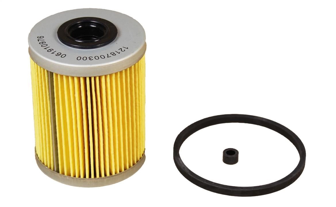 Jp Group 1218700300 Fuel filter 1218700300: Buy near me in Poland at 2407.PL - Good price!
