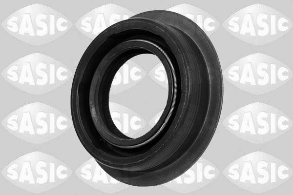 Sasic 1950013 Shaft Seal, differential 1950013: Buy near me in Poland at 2407.PL - Good price!