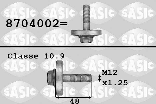 Sasic 8704002 Crankshaft pulley pulley fastening bolt 8704002: Buy near me in Poland at 2407.PL - Good price!