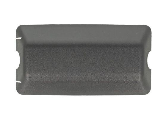 Pacol RVI-MR-016 Cover side mirror RVIMR016: Buy near me in Poland at 2407.PL - Good price!