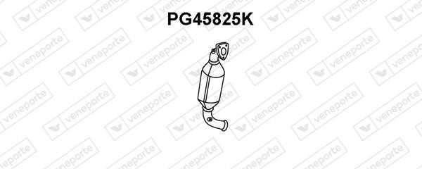 Veneporte PG45825K Катализатор PG45825K: Отличная цена - Купить в Польше на 2407.PL!