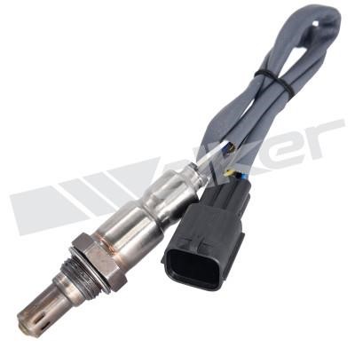 Walker 250-25029 Lambda sensor 25025029: Buy near me in Poland at 2407.PL - Good price!