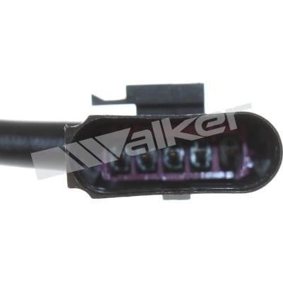 Sensor Walker 250-25118