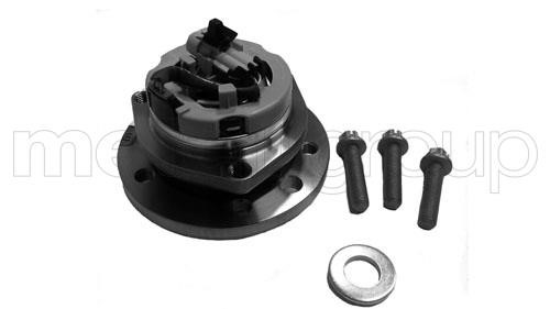 Cifam 619-2295 Wheel bearing kit 6192295: Buy near me in Poland at 2407.PL - Good price!