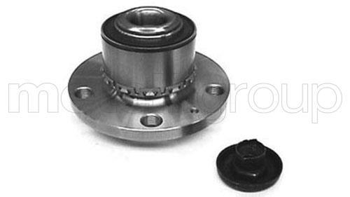 Cifam 619-2309 Wheel bearing kit 6192309: Buy near me in Poland at 2407.PL - Good price!
