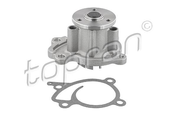 Topran 409 010 Water pump 409010: Buy near me at 2407.PL in Poland at an Affordable price!